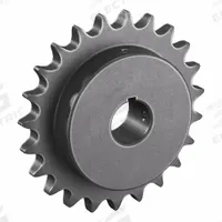 TSUBAKI Single Strand Sprocket: 60, For 3/4 in Chain Pitch, 1 1/4 in Bore Dia, 23 Teeth, Steel (MPN 60B23F-1 1/4). Key specifications — Brand: TSUBAKI.