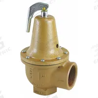 WATTS Pressure Relief Valve: FNPTF x FNPTF, 2 in x 2 1/2 in, Iron, 75 psi Max. Op Pressure (MPN 0384292). Key specifications — Brand: WATTS.