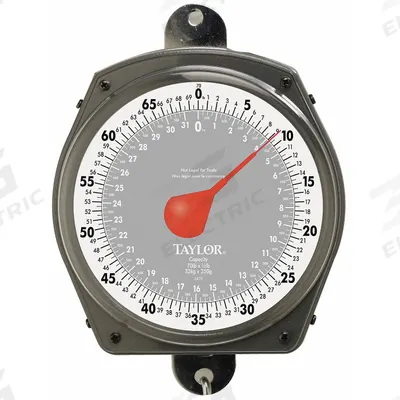 TAYLOR Mechanical Hanging Scale: kg/lb, 0.5 lb/250 g, Analog Dial - Mechanical Hanging Scales