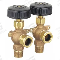 APOLLO Water Gauge: Bronze, 5/8 in Gauge Glass Dia, 12 in Gauge Glass Lg, 400°F Max. Media Temp, NPT (MPN 2020500). Key specifications — Valve Type: Needle Drain; Brand: APOLLO; Stem Packing Material: TFE; Gasket Material: EPDM.