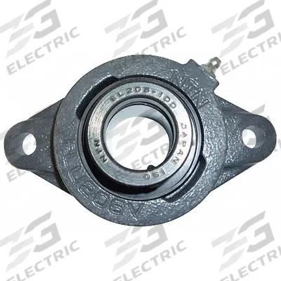NTN 2 Bolt Flange Bearing: Radial Ball, 1 in Bore, Cast Iron, Eccentric Collar - General Purpose Flange-Mount Ball Bearings