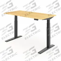 FLEXISPOT Standing Desk: Tan, Bamboo, 55 in Overall Wd, 30 in Overall Dp, 50 5/8 in Max Desktop Ht (MPN E7BPRO5528-LBZB). Key specifications — attr989930: Black; attr989931: Steel; attr989903: FLEXISPOT; attr989934: USB Type-A; attr989914: Tan; attr989916: Bamboo.