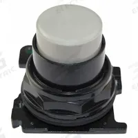 EATON Extended Push Button: 30 mm, Non-Metallic, Momentary, LED (MPN E34EB5). Key specifications — Action: Momentary; Brand: EATON; Series: E34; Push Button Material Type: Non-Metallic.