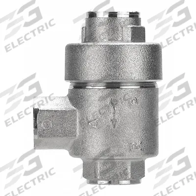 AIGNEP USA Exhaust Valve: 145 psi Max Op Pressure, 4.35 psi Min Op Pressure, 1 in NPT - Quick Exhaust Valves