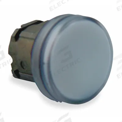 SCHNEIDER Pilot Light Head: 22 mm Panel Mounting Hole Dia, White, Smooth - Pilot-Light Heads