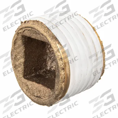 APPROVED VENDOR Plug: Square Drive Cored Plug, 2 in, NPT Threaded, Class 125, C89833 Brass - Threaded Low-Pressure Pipe Fittings for Potable Water with Thread Sealant