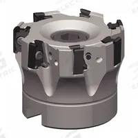 WIDIA Indexable Face Mill: VSM490D250Z05S075XN10 (MPN 6425389). Key specifications — attr256955: VSM490D250Z05S075XN10.