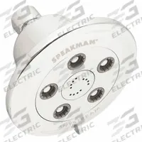 SPEAKMAN Handheld Showerhead: Plastic, Chrome, 1.75 gpm Flow Rate, 4 in Handheld Showerhead Wd (MPN VS-3011-E175). Key specifications — Series: Chelsea.
