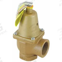 WATTS Pressure Relief Valve: FNPTF x FNPTF, 1 in x 1 1/4 in, Iron, 75 psi Max. Op Pressure (MPN 0382818). Key specifications — Brand: WATTS.
