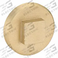 OATEY Plug: Plug, 2 in Fitting Pipe Size, NPT Threaded, Brass, 10 psi, Square Drive (MPN 42370). Key specifications — attr1362624: 10 psi.