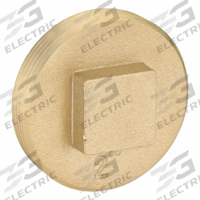 OATEY Plug: Plug, 2 in Fitting Pipe Size, NPT Threaded, Brass, 10 psi - Drainage Brass Pipe Fittings
