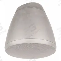 SOUNDTUBE In-Ceiling Speaker: Passive, 2-Way, 16 ohm Impedance, 10 in Overall Wd, 10 in Overall Dp (MPN RS62-EZ-WH). Key specifications — attr1056470: Outdoor; attr1056495: Passive.