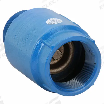 Dayton Spring Check Valve: Inline Valve Body, 2 in Pipe Size, MNPT x FNPT, Ductile Iron - Ductile Iron Poppet Check Valves