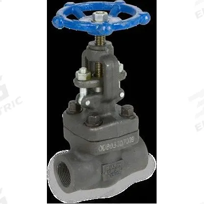 SHARPE Globe Valves: For Steam Media, Carbon Steel, 2 in Pipe Size, Socket x FNPT - Carbon Steel Straight-Body General-Service Globe Valves