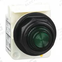 SCHNEIDER ELECTRIC Pilot Light: 30 mm Panel Mounting Size, Green, Incandescent, 9001SK Series (MPN 9001SKP1G31). Key specifications — Series: 9001SK; Brand: SCHNEIDER; Includes Push-To-Test: No Push-To-Test Included.