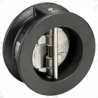 KECKLEY Check Valve: Double Disc, Inline Valve Body, 3 in Pipe Size, Wafer, Cast Iron, Wafer, Wafer (MPN DD1F-CI-34136-300). Key specifications — Brand: KECKLEY.