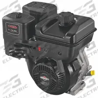 BRIGGS & STRATTON Gasoline Engine: Series XR Professional Series, 14.5 lb-ft Gross Torque, 1 in (MPN 19N132-0019-F1). Key specifications — attr980210: Yes; attr980216: Recoil; attr980222: 1 in; attr980223: Keyed 1/4"; attr987749: 19N132-0019-F1.