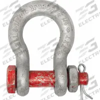 CROSBY Anchor Shackle: Anchor Shackle, 110,000 lb Working Load Limit, 4 1/8 in Wd Between Eyes, Red (MPN 1019695). Key specifications — Body Color: Silver; Brand: CROSBY.