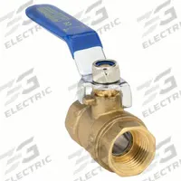 APPROVED VENDOR Manual Two-Way Ball Valve: 1 in, Brass, Straight, FNPT x FNPT, Full Port Ball Port (MPN G-F600-100). Key specifications — Brand: APPROVED VENDOR; Handle: Lever.