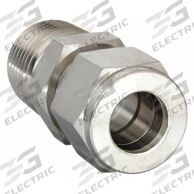 PARKER Compression Fitting Adapter: 3/16 in OD x 1/8 in Pipe Fitting Size - Double-Ferrule Stainless Steel Fittings
