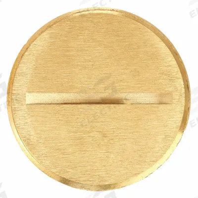 HUBBELL WIRING DEVICE-KELLEMS Flush Plug: Round, Brass, Hubbell, S3625/S3725/SA3625/SA3725 - Insert Plugs & Accessories for Floor Boxes