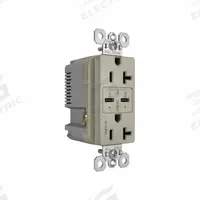USB Receptacle: Duplex, 5-15R, 2 USB Ports, USB Type C, Gray, 125V AC, 20 A (MPN TR20USBPDNI). Key specifications — Brand: PASS & SEYMOUR.