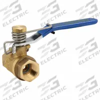 APPROVED VENDOR Manual Two-Way Ball Valve: 1/2 in, Brass, Straight, FNPT x FNPT, Full Port Ball Port (MPN 1WMP1). Key specifications — Brand: APPROVED VENDOR; Handle: Spring-Return Lever.