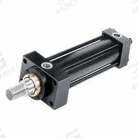 PARKER Hydraulic Cylinder: 63 mm Bore Dia., 300 mm Stroke Lg, 1/2 Inch BSPP Port Size, Double Acting (MPN 63THMIRB14M300M1100). Key specifications — attr98892: PARKER; attr95589: 14729 lb (65.5 kN); attr95592: Double Acting; attr1142403: HMI; attr1382128: 1/2 Inch BSPP.