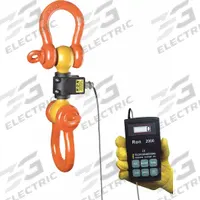 RON CRANE SCALES Crane Dynamometer: 6,000 lb Wt Capacity - Imperial, +/-0.1% Accuracy, 2 lb, CE/UL (MPN RON 2000-S03CC). Key specifications — Readability: 2 lb; Standards: CE; Indicator Attachment: Corded Remote; Includes: Carrying Case; Housing Material: Alloy Steel; Manufacturer Part Number: RON 2000-S03CC; Brand: RON CRANE SCALES; Weighing Units: N.