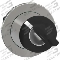 SCHNEIDER ELECTRIC Keyed Selector Switch: 2 Position, 30 mm Panel Mounting Size, Series XB4 (MPN ZB4FG4). Key specifications — Manufacturer Part Number: ZB4FG4; Brand: SCHNEIDER; Switch Action: Maintained/Maintained; Key Removal Position: Left.