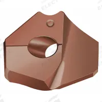 WALTER Replaceable Tip Drill,P6005-D3799RWKK45C (MPN 6838242)