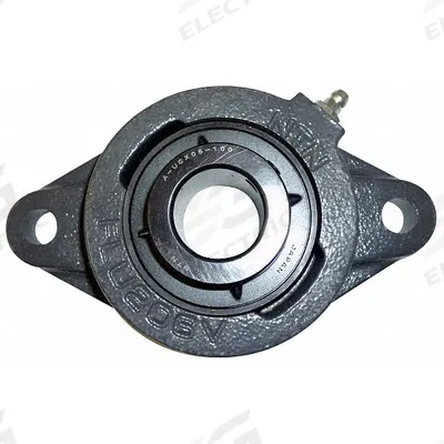 NTN 2 Bolt Flange Bearing: Radial Ball, 1 1/4 in Bore, Cast Iron, Set Screws - General Purpose Flange-Mount Ball Bearings