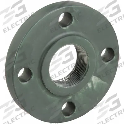 APPROVED VENDOR Metal Pipe Flange: 1 in, NPT Threaded, Carbon Steel, Raised Flange - Threaded Steel & Iron Pipe Flanges