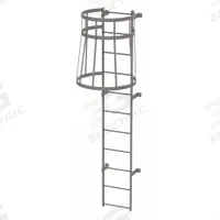 TRI-ARC Fixed Ladder with Safety Cage: 10 ft Overall Ht, 18 in Overall Wd, Steel, 11 Rungs (MPN WLFC1111). Key specifications — Brand: TRI-ARC; Assembly: Assembled; Number of Sections: 1.