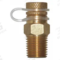 WINTERS Pressure Test Plug: Brass, 1/4 in NPT, 1.4 in Overall Lg (MPN STP001). Key specifications — Brand: WINTERS; Body Material: Brass.