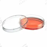 GLOBE SCIENTIFIC Tissue Culture Well Plate: Sterile, 20 mL, 100 mm Dia, RNase/DNase Free, Round (MPN TC-DISH-100XL). Key specifications — Brand: GLOBE SCIENTIFIC; Body Color: Colorless; RNase/DNase Free: Yes; Well Shape: Round; Material: Polystyrene.