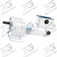 LEESON Parallel Shaft Gearmotors: Parallel, 90V DC, TENV, 31 RPM, 220 in-lb Max Torque, 58:1, 1.6 A (MPN M1125262.00). Key specifications — Motor Type: Permanent Magnet DC; Brand: LEESON; Full Load Current: 1.6 A.