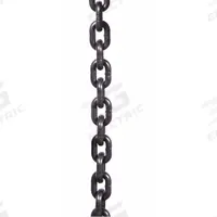 DAYTON Load Chain: Lever Chain Hoists, 6,000 lb Compatible Load Capacity, Dayton, GGS_57013. Key specifications — Compatible Hoist Type: Lever Chain Hoists; Compatible Series: Dayton; Manufacturer Part Number: GGS_57013; Product Type: Load Chain.