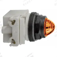 SCHNEIDER ELECTRIC Pilot Light: 30 mm Panel Mounting Size, Amber, Incandescent, 9001SK Series (MPN 9001SKP1A9). Key specifications — Series: 9001SK; Brand: SCHNEIDER; Includes Push-To-Test: No Push-To-Test Included.