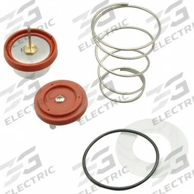 WILKINS Valve Repair Kit: Plastic/Rubber/Steel - Valve Repair Kits