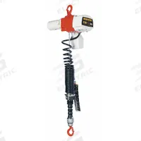 HARRINGTON Electric Chain Hoist: H2 - Light Duty, 120V AC, Hook Mounted - No Trolley, 2 Speeds (MPN ED250DA-6). Key specifications — Brand: HARRINGTON; Includes: Safety Latch Hook; Operating Voltage: 120V AC; Headroom Clearance: 37 in.