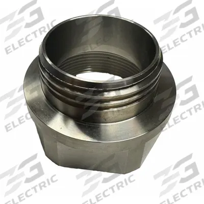 ACTION PUMP Bung Adapter: Bung Adapter, 316 Stainless Steel, 2 3/16 in - Bung Adapters