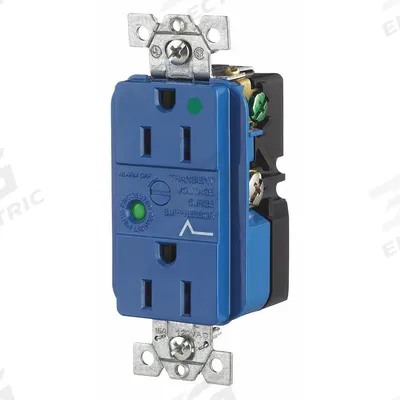 BRYANT Receptacle: Hospital Grade, Duplex, 5-15R, Blue, 125V AC, 15 A - General Purpose Receptacles