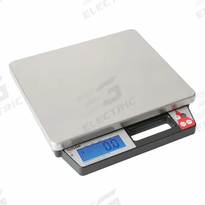 TAYLOR Food Scale: 11 1/4 in Weighing Surface Dp - Food Scales