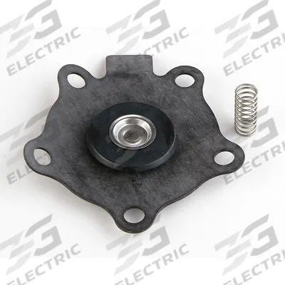 ASCO Valve Rebuild Kit: Diaphragm Assembly/Diaphragm Spring (MPN 096875) - Repair Kits for Solenoid Valves