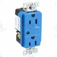 HUBBELL Receptacle: Duplex, 5-15, Blue, 125V AC, 15 A, 2 Pole / 3 Wire (MPN HBL5260SA)