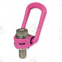RUD CHAIN Hoist Ring: Pivot/Swivel, Steel w/Pink Powder-Coated Bail, M36-4, Max. 15,430 lb, Lifting (MPN 8500829). Key specifications — Brand: RUD CHAIN; Thread Size: M36-4; Operation: Lifting.