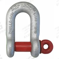 CROSBY D-Shackle: Chain Shackle, 4,000 lb Working Load Limit, 13/16 in Wd Between Eyes, Carbon Steel (MPN 1019230). Key specifications — Body Color: Silver; Brand: CROSBY.