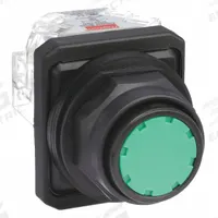 DAYTON Flush Push Button Operator: Non-Illuminated, Flush Profile, Non-Metallic, 30 mm, 1NO/1NC (MPN 30G441). Key specifications — Brand: DAYTON; Action: Momentary; Series: Dayton; Terminal Connection: Pressure Plate; Push Button Material Type: Non-Metallic.