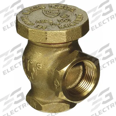 ZURN WILKINS Vacuum Breaker: FNPT x FNPT, 1 1/4 in Pipe Size, Rough Brass, For Water Media - Atmospheric Vacuum Breakers